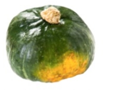 Identify the vegetable shown in the picture.   A)  Jicama B)  Brussels sprout C)  Buttercup squash D)  Green pepper