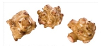 Identify the vegetable shown in the picture.   A)  Jicama B)  Salsify C)  Sunchokes D)  Rutabaga