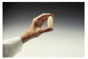 Identify the procedure shown in the picture. -  A)  Cutting parisienne B)  Dicing C)  Tournéing D)  Chopping mirepoix