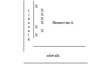 Homeowner A owns a corner lot as shown below:    The Xs on the left side represent shrubs that hang over the sidewalk. Pedestrians have complained of having to step into the street to walk by, and motorists claim they are blind-sighted by the shrubs. Can neighbors take any action?