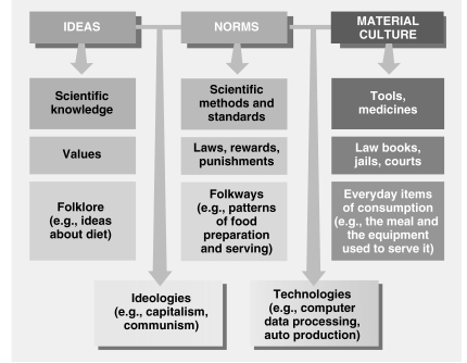   -Refer to the chart below. Which of the following is a part of our material culture? A)  scientific methods B)  folklore C)  medicines D)  laws