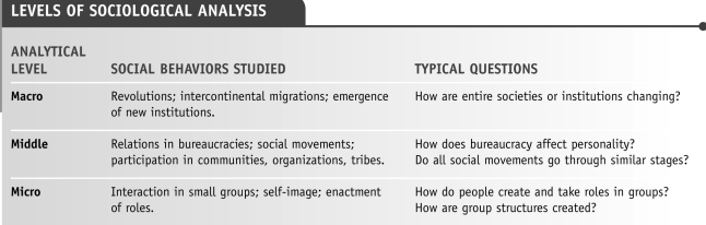 <strong> -An example of micro-level social phenomena is seen in the:</strong> A) birthrate among young black women B) conflict in the Middle East C) relationships between and among the sisters in the Omega chapter of Gamma Alpha Lambda sorority D) spread of AIDS