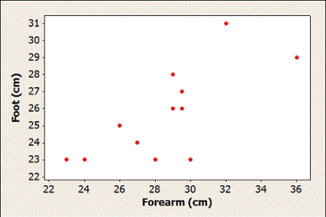 Use the following  Students in a small statistics course collected data to determine if the length of the forearm could be used to predict the length of the foot (both measured in centimeters). Their data are displayed in the provided table. ‪   -A scatterplot of the data collected by the students is provided. Does there appear to be a positive or negative association between these two variables? What does this mean for these two variables?   