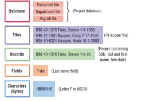 <strong> -The figure above illustrates the data ____.</strong> A) schema B) hierarchy C) management system D) mining system
