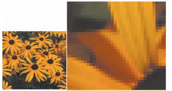   -The accompanying figure, showing an original and an enlarged graphic, is an example of ____ graphics. A)  bit-mapped B)  vector C)  both a. and b. D)  neither a. nor b.