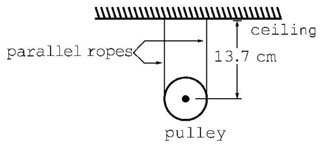  A pulley is suspended from the ceiling by a string  30.2 \mathrm{~cm}  long. The distance from the ceiling to the pulley is  13.7 \mathrm{~cm} . Determine the diameter of the pulley.    