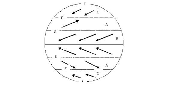 <strong>In the diagram below, a pressure belt is labeled D. What is this pressure belt called? </strong> A) Polar high. B) Equatorial low. C) Subpolar low. D) Subtropical high.