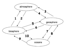 The following diagram illustrates the Carbon Cycle. Each arrow represents the transfer of carbon from one component of the Earth system to another. For example, arrow 1 represents the transfer of carbon from the biosphere to the atmosphere. Match the lettered answers below to the number on the diagram.    -Match the lettered answers to number 3 on the diagram. A)  Photosynthesis B)  Decay C)  Respiration D)  Volcanic eruption E)  Fossil fuel formation