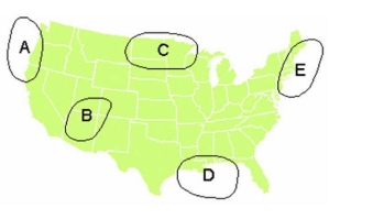 Use the map to answer this question.    -Identify the continental tropical air mass. A)  A B)  B C)  C D)  D E)  E