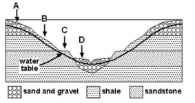 The cross section below simplifies the groundwater sources in a county in a Midwest state. Which rock   unit the potential for the worst groundwater production? A)  Point A B)  Point B C)  Point C D)  Point D