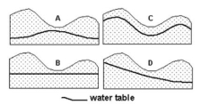 The four schematic cross sections below show the potential groundwater resources for an area of hills and valleys. Assume the region is underlain by an open aquifer composed of sand and gravel and receives plentiful rainfall. Which diagram is the best representation of the relationship between topography and   water table? A)  Diagram A B)  Diagram B C)  Diagram C D)  Diagram D