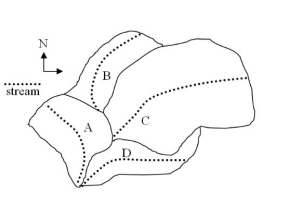 The following diagram illustrates streams in a set of drainage basins.    -All other variables related to stream size being equal, which stream in the diagram above will have the largest discharge? A)  A  B)  B C)  C D)  D