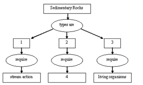 Complete the following concept map.    -Complete the following concept map for number 3. A)  Biochemical B)  Chemical C)  Clastic D)  Evaporation