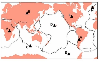 Use the following map to answer this question.    -Identify a volcano that is most likely to have both basalt and rhyolite as products of its eruption. A)  G B)  F C)  C D)  H