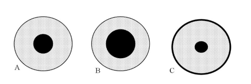 Which of the following images best represents the crust, mantle and core of Earth?   A)  Diagram A B)  Diagram B C)  Diagram C