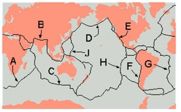    Examine the map of the plate boundaries and answer this question.    -Oceanic lithosphere is being recycled at ___. A)  H B)  G C)  C D)  D