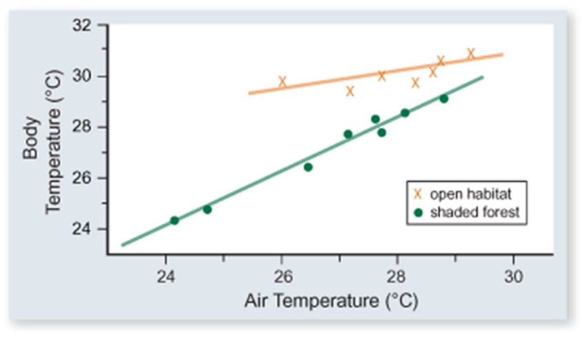 The figure included shows the body temperature of lizards versus air temperature in two different habitats-open and shaded forest. Which one of the following conclusions is best supported by these data.   A)  Lizards are more active in open habitats. B)  Lizards sunbathe more in open habitats. C)  Lizards in shaded forest habitats eat more to maintain their temperature. D)  The body temperature of lizards is more constant in open than in shaded forest habitats. E)  The negative effect of air temperature on body temperature is less in shaded forest habitats because the temperature varies less there.