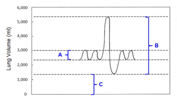   In the above graph, if Bracket A represents the tidal volume and Bracket B represents the vital capacity, respectively, of a young man, what does Bracket C represent? A)  anatomical dead space B)  air that is not used for gas exchange C)  air that helps keep the alveoli inflated (open)  after forced exhalation D)  air from a previous breath that does not mix with newly-inhaled air of the next breath E)  air with a concentration of oxygen higher than that of air outside the body