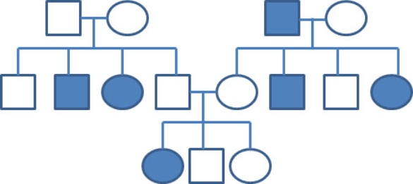 Below is a pedigree for a particular human trait. Affected individuals are illustrated by the shaded in circles or squares. This particular pedigree does not yet have a particular shading pattern for carriers. As a result, some of these individuals may be carriers for the trait. What is the mechanism of inheritance of this trait?   A)  Sex-linked recessive B)  Autosomal dominant C)  Autosomal recessive D)  Mitochondrial
