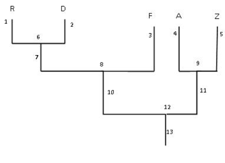   -Which species are genetically the most similar? A)  F and R B)  Z and F C)  R and D D)  Z, and R E)  A and Z