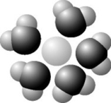 Use the following figure to answer the question.   Based on your knowledge of the polarity of water molecules, the solute molecule depicted is most likely ________. A)  positively charged B)  negatively charged C)  without charge D)  nonpolar 