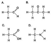Use the figures to answer the question.   Which molecule has at least one carbon atom attached to three different chemical groups? A)  A B)  B C)  D D)  A and B 