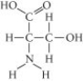   Which functional group is not present in this molecule? A)  carboxyl B)  sulfhydryl C)  hydroxyl D)  amino 