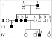 <strong>The following question refers to the pedigree chart in the figure for a family, some of whose members exhibit the dominant trait, W. Affected individuals are indicated by a dark square or circle. What is the genotype of individual II-5?</strong> A) WW B) Ww C) ww D) ww or Ww