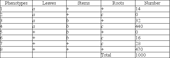 Use the following information to answer the question. A plantlike organism on the planet Pandora can have three recessive genetic traits: bluish leaves, due to an allele (a)  of gene A; a feathered stem, due to an allele (b)  of gene B; and hollow roots due to an allele (c)  of gene C. The three genes are linked and recombine. A geneticist performed a testcross with an organism that had been found to be heterozygous for the three recessive traits, and she was able to identify progeny of the following phenotypic distribution (+ = wild type) :   Which of the following are the phenotypes of the parents in this cross? A)  2 and 5 B)  1 and 6 C)  4 and 8 D)  3 and 7 