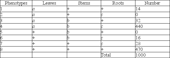 Use the following information to answer the question. A plantlike organism on the planet Pandora can have three recessive genetic traits: bluish leaves, due to an allele (a)  of gene A; a feathered stem, due to an allele (b)  of gene B; and hollow roots due to an allele (c)  of gene C. The three genes are linked and recombine. A geneticist performed a testcross with an organism that had been found to be heterozygous for the three recessive traits, and she was able to identify progeny of the following phenotypic distribution (+ = wild type) :   Which of the progeny phenotypes will require recombination between genes A and B? A)  1, 2, 5, and 6 B)  1, 3, 6, and 7 C)  2, 4, 5, and 8 D)  2, 3, 5, and 7 
