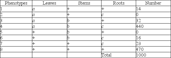 Use the following information to answer the question. A plantlike organism on the planet Pandora can have three recessive genetic traits: bluish leaves, due to an allele (a)  of gene A; a feathered stem, due to an allele (b)  of gene B; and hollow roots due to an allele (c)  of gene C. The three genes are linked and recombine. A geneticist performed a testcross with an organism that had been found to be heterozygous for the three recessive traits, and she was able to identify progeny of the following phenotypic distribution (+ = wild type) :   What is the greatest benefit of having used a testcross for this experiment? A)  The homozygous recessive parents are obvious to the naked eye. B)  The homozygous parents are the only ones whose crossovers make a difference. C)  The phenotypes of the progeny reveal the allelic content of the gamete from the heterozygous parent. D)  All of the progeny will be heterozygous. 