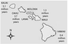 <strong> Soon after the island of Hawaii rose above the sea surface (somewhat less than one million years ago), the evolution of life on this new island should have been most strongly influenced by ________.</strong> A) a genetic bottleneck B) sexual selection C) habitat differentiation D) the founder effect