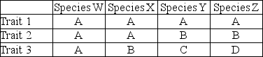 Given that phylogenies are based on shared derived characteristics, which of the following traits is useful in generating a phylogeny of species W, X, Y, and Z?   A)  Trait 1 B)  Trait 2 C)  Trait 3 D)  Traits 1, 2, and 3 