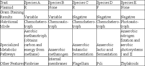 <strong>The following table depicts characteristics of five prokaryotic species (A-E). Use the information in the table to answer the question. Which species might include cells that are Hfr cells?</strong> A) species A B) species B C) species C D) species D