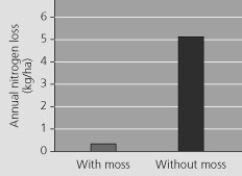 Use the figure to answer the following question.   Bowden showed that the presence of moss reduced nitrogen loss from soil. Which of the following questions would be the best follow-up study? A)  Do new species colonize areas with a pH of 3 more rapidly or more slowly than areas with a pH of 7? B)  Do new species colonize areas with added iron more rapidly or more slowly than areas without added iron? C)  Do new species colonize areas with moss more rapidly or more slowly than areas without moss? D)  Do new species colonize areas with added phosphorus more rapidly or more slowly than areas without added phosphorus? 