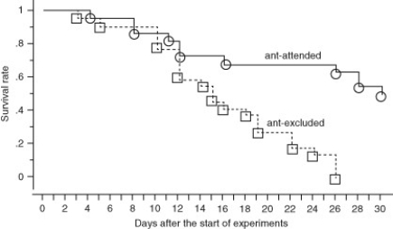 Use the following information and figure to answer the question. Aphids are Hemiptera that suck phloem liquid from plants. Ants are often seen tapping the posterior end of the aphid and collecting the liquid that is released from the aphid's digestive system. In an effort to understand this interaction, several researchers measure the survival rates of aphid populations when ants were present and when they were excluded. Their results are shown.   Which of the following conclusions is most likely correct? A)  Ants derive nourishment from the aphids. B)  Ants protect the aphids from predators. C)  Ants parasitize the aphids. D)  Ants feed the aphids. 