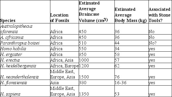 Use the following information to answer the question. Brown et al. and Morwood et al. reported in 2004 that they had found skeletal remains of a previously unknown type of hominin, now dubbed Homo floresiensis, on the Indonesian island of Flores. These hominins were small (approximately 1 meter tall)  with small braincases (approximately 380 cubic centimeters)  as compared with other hominins. The remains of H. floresiensis were found alongside handmade stone tools and the remains of dwarf elephants that also inhabited the island, suggesting that H. floresiensis was able both to make tools and to coordinate the hunting of animals much larger than itself. H. floresiensis is estimated to have lived at the site where the remains were found from at least 38,000 years ago to 18,000 years ago.   The table is a comparison of several characteristics of H. floresiensis to those of nine other hominin species (arranged roughly from oldest to most recent) . What do these data suggest? A)  A large brain is not necessarily required for toolmaking. B)  Body mass and braincase volume are completely unrelated. C)  Hominins first evolved in and then radiated out from Asia. D)  Homo floresiensis is most closely related to Australopithecus afarensis or A. africanus. 