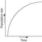 Which of the following graphs best illustrates the growth curve of a small population of rodents that has increased to a static carrying capacity? A)    B)    C)    D)    