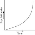Which of the following graphs best illustrates the growth curve of a small population of rodents that has increased to a static carrying capacity? A)    B)    C)    D)    