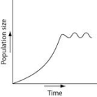 Which of the following graphs best illustrates the growth curve of a small population of rodents that has increased to a static carrying capacity? A)    B)    C)    D)    