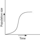Which of the following graphs best illustrates the growth curve of a small population of rodents that has increased to a static carrying capacity? A)    B)    C)    D)    