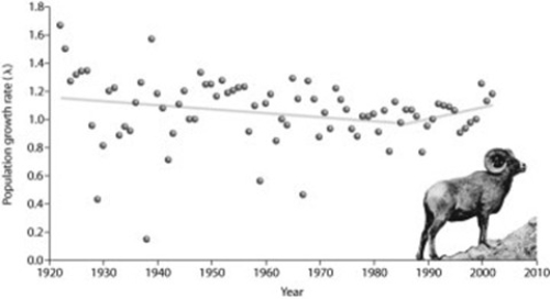 Use the following figure to answer the question.   Five new individuals were added to a small population of bighorn sheep in 1986, and ten more were added between 1990 and 1994. According to the figure, what occurred in this population after these additions? A)  The population increased exponentially. B)  The population increased in overall numbers. C)  The population growth rate increased. D)  The population continued to decline. 