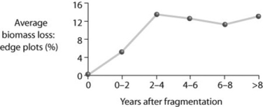 Use the following figure to answer the question.   Looking at the figure showing the results of forest fragmentation, what can be said about edge effects? A)  Biomass declines along edges of forest fragments. B)  Biomass increases along the edges of forest fragments. C)  Species diversity decreases along the edges of forest fragments. D)  Fragmentation does not affect biomass. 