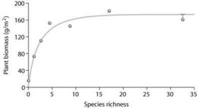Use the following figure to answer the question.   Looking at the figure, what can you conclude about the data? A)  As species richness changes, plant biomass remains consistent. B)  As species richness increases, plant biomass increases. C)  As species richness increases, plant biomass increases and then levels off. D)  As species richness decreases, plant biomass increases. 