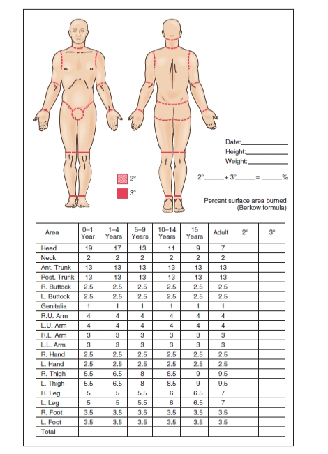 An 11-year-old child received burns over both upper and lower arms,both hands,anterior upper and lower legs,anterior chest,and the neck.Using the following as a guide,what is this child's total body surface area burned?   Text Figure 51.8 A)  30 % B)  42 % C)  57 % D)  65 % 