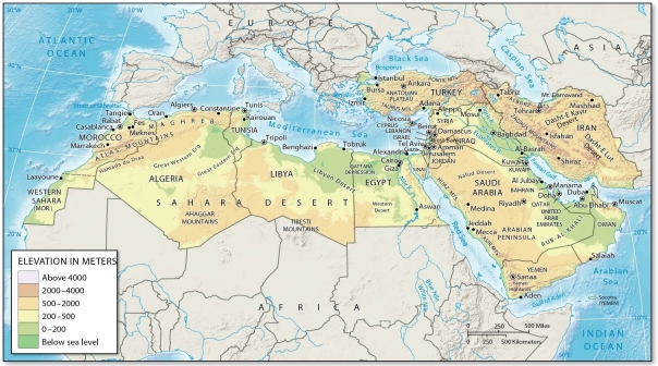    -Which of these is NOT on the Arabian Peninsula? A)  Yemen B)  Oman C)  Saudi Arabia D)  Iran