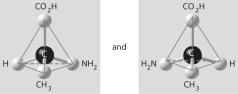 Which of the pairs of molecular structures shown below do NOT depict enantiomers (enantiomeric forms) of the same molecule? A) B) C) D) E)