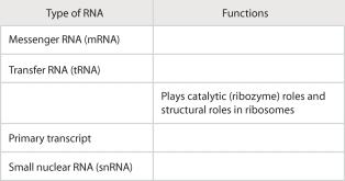 Review the roles of RNA by filling in the following table:   