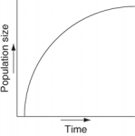 Which of the following graphs illustrates the growth curve of a small population of rodents that has grown to reach a static carrying capacity? A)    B)    C)    D)    E)   