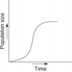 Which of the following graphs illustrates the growth curve of a small population of rodents that has grown to reach a static carrying capacity? A)    B)    C)    D)    E)   
